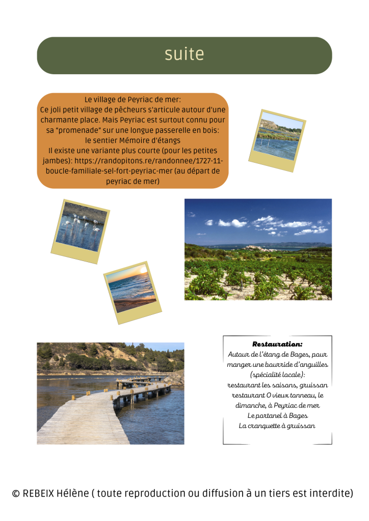carnet_de_bord