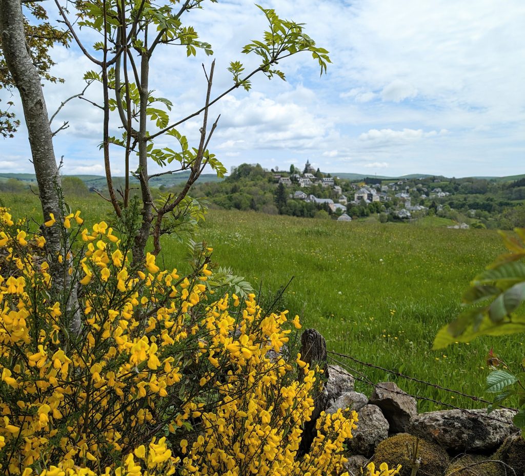 Village de Laguiole
