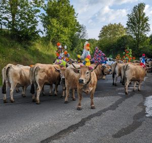 Montée en estive