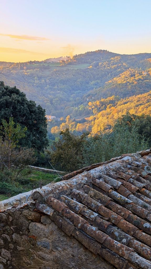 des hameaux entourés de forêt