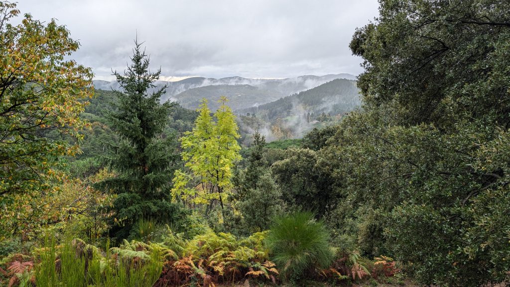 Paysage après la pluie